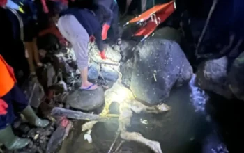 Identitas Jenazah Masih Misterius di Sukabumi, Karumkit RS Bhayangkara Setukpa: Tunggu Prosedur Otopsi Bareng Satreskrim Polres