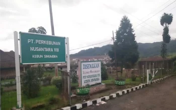Isu Penutupan Sinumbra di Kabupaten Bandung Bikin Petani Resah