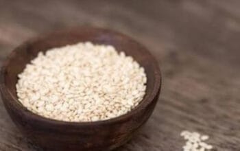 Keajaiban Biji Wijen: Si Kecil yang Kaya Nutrisi bagi Tubuh