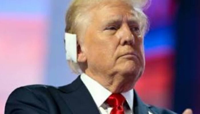 Ketegangan Geopolitik: Ambisi AS Kuasai Greenland dan Respon Denmark