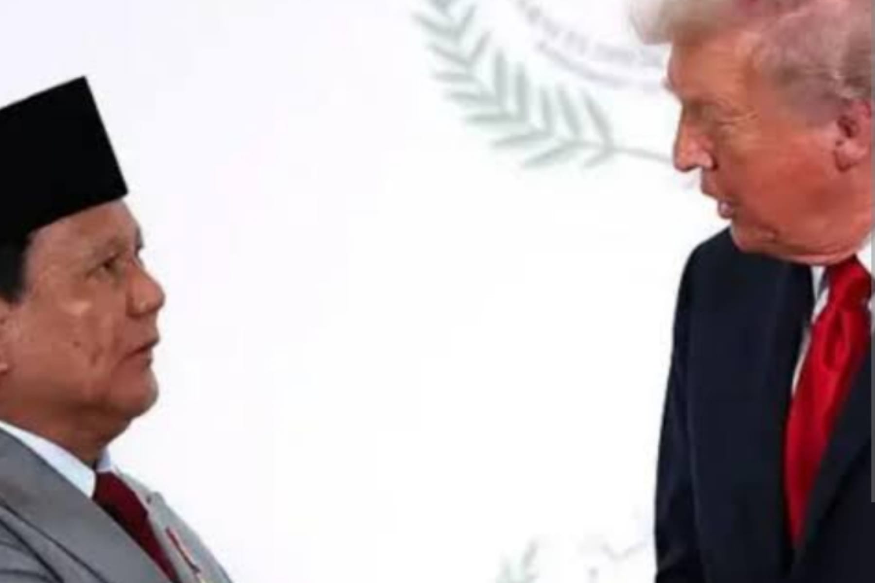 Langkah Diplomasi Indonesia: Bergabung dengan Dewan Perdamaian Gaza