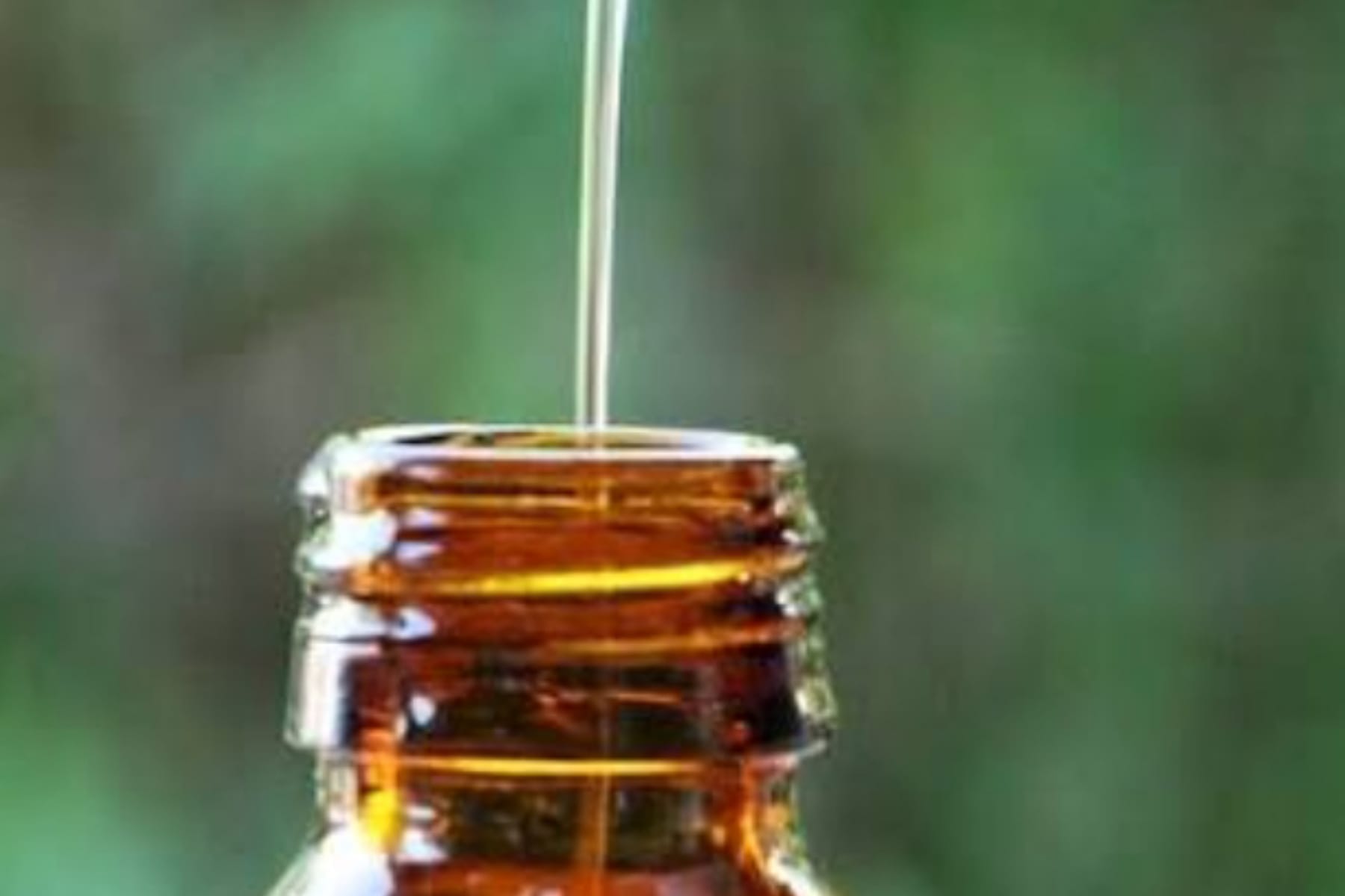 Manfaat Neem Oil: Rahasia Alami Perlindungan Kulit dan Pengusir Serangga