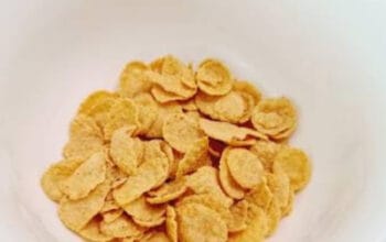 Mengenal Sereal Jagung: Sarapan Praktis Namun Perlu Batasan 3 Mengenal Sereal Jagung: Sarapan Praktis Namun Perlu Batasan