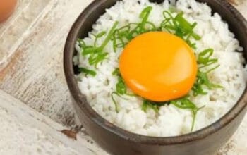 Panduan Makan Bubur Ayam Saat Diare: Aman atau Tidak?