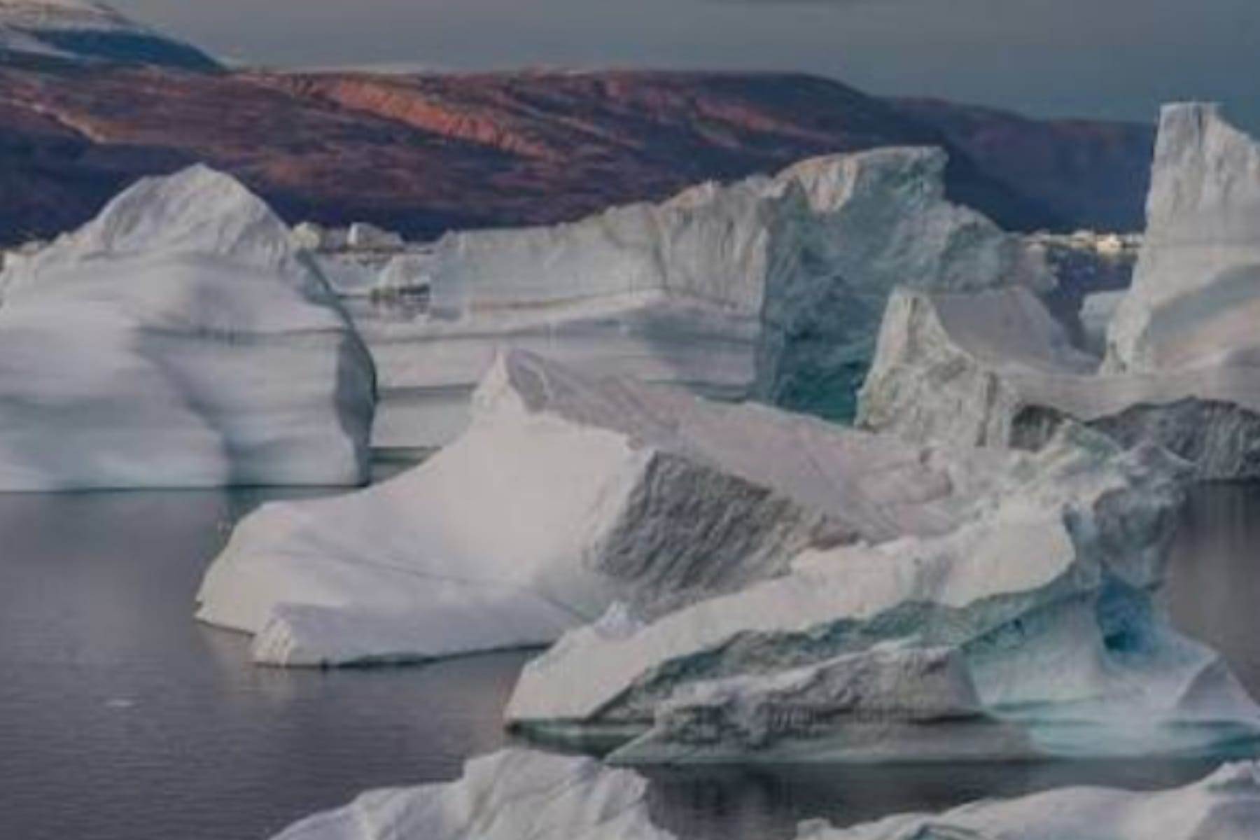 Perseteruan Greenland: Ancaman Tarif Trump Picu Kemarahan Eropa 1 Perseteruan Greenland: Ancaman Tarif Trump Picu Kemarahan Eropa