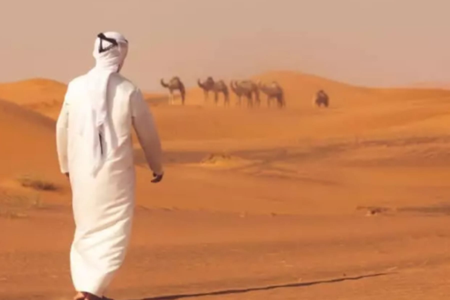 Pesona Tak Tertandingi: Meneladani Ketampanan Nabi Yusuf AS 1 Pesona Tak Tertandingi: Meneladani Ketampanan Nabi Yusuf AS