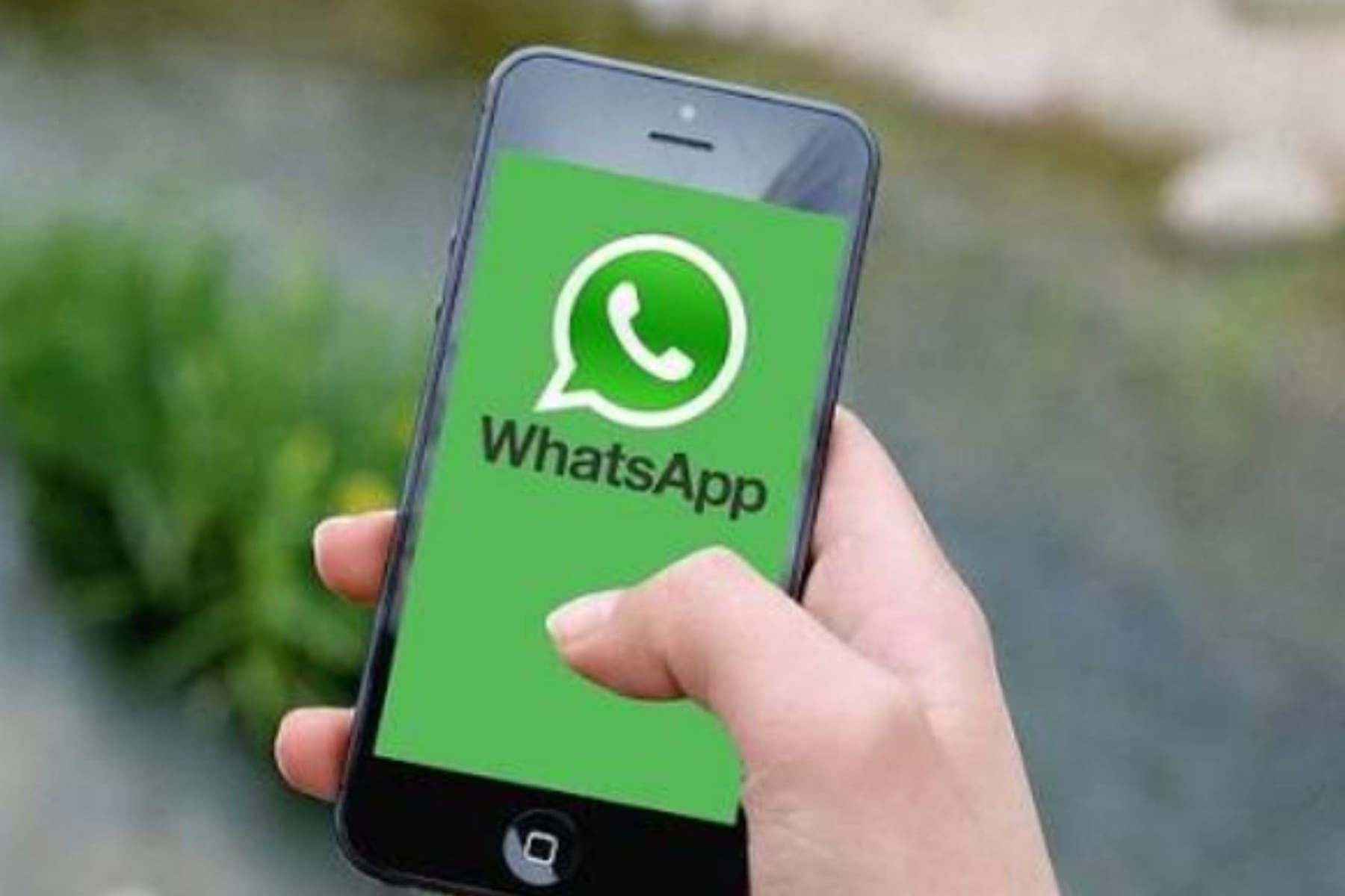 Sambut 2026 dengan Fitur Baru WhatsApp yang Lebih Meriah