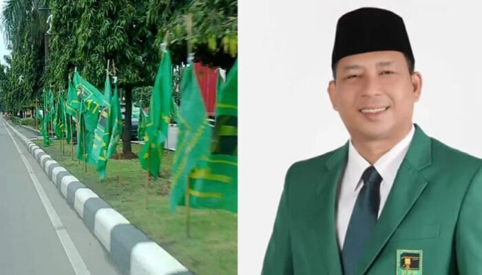 Sekretaris DPC PPP Kabupaten Bogor Ungkap Alasan Ribuan Bendera Partai Penuhi Jalanan