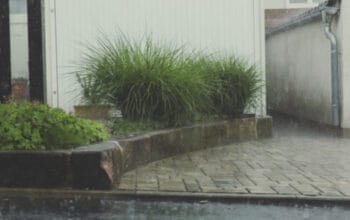 Strategi Cerdas Cara Antisipasi Banjir di Lingkungan Rumah 3 Strategi Cerdas Cara Antisipasi Banjir di Lingkungan Rumah