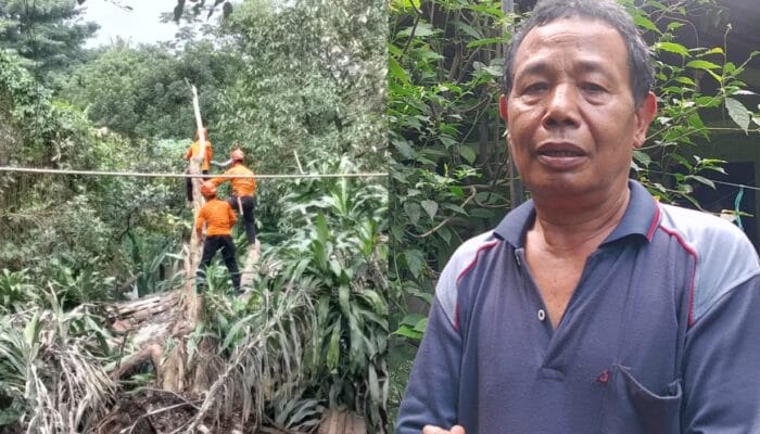Tanah Labil, Rumah Warga di Kampung Cigeger Desa Citeureup Bogor Tertimpa Pohon Tumbang