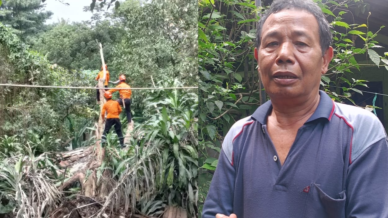 Tanah Labil, Rumah Warga di Kampung Cigeger Desa Citeureup Bogor Tertimpa Pohon Tumbang 1 Tanah Labil, Rumah Warga di Kampung Cigeger Desa Citeureup Bogor Tertimpa Pohon Tumbang