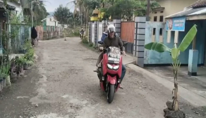Aksi Unik Warga Cianjur: Jalan Rusak Jadi Kebun Pisang