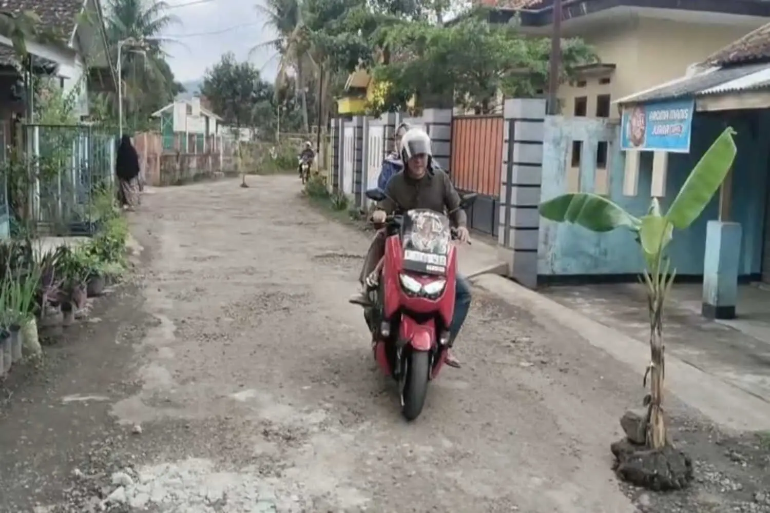 Aksi Unik Warga Cianjur: Jalan Rusak Jadi Kebun Pisang