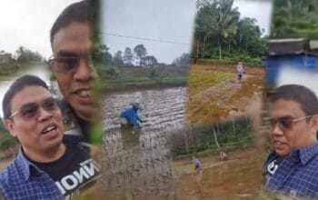 Anggota DPRD Kabupaten Bogor Fraksi PKB Kenalkan Teknik 'Jajar Legowo' Langsung dari Sawah di Tengah Guyuran Hujan