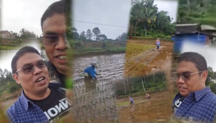 Anggota DPRD Kabupaten Bogor Fraksi PKB Kenalkan Teknik ‘Jajar Legowo’ Langsung dari Sawah di Tengah Guyuran Hujan