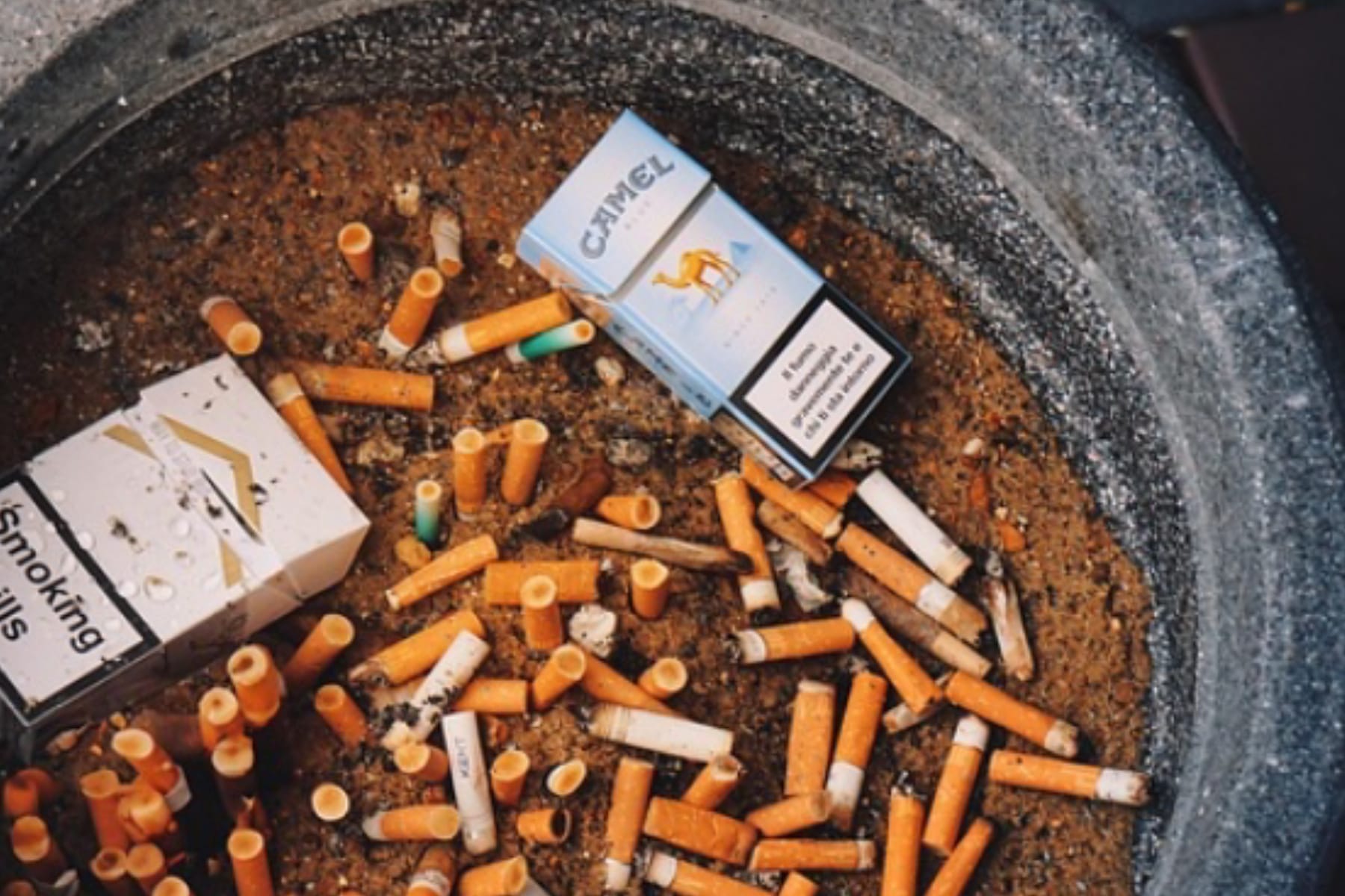 Bahaya Laten: Mengenal Risiko Keracunan Nikotin