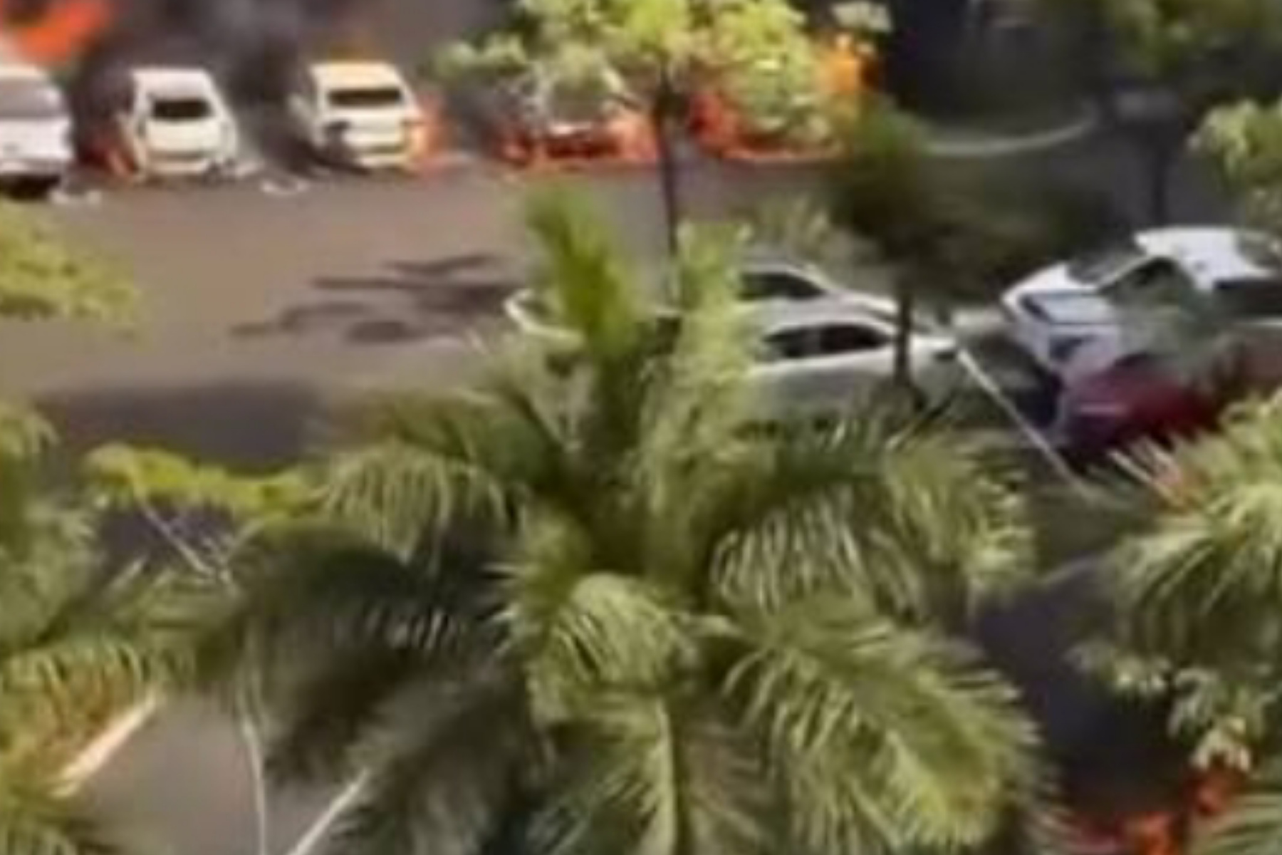 Berakhirnya Pelarian El Mencho di Meksiko