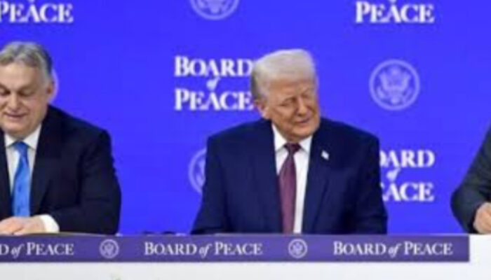 Board of Peace: Inisiatif Baru Donald Trump untuk Gaza