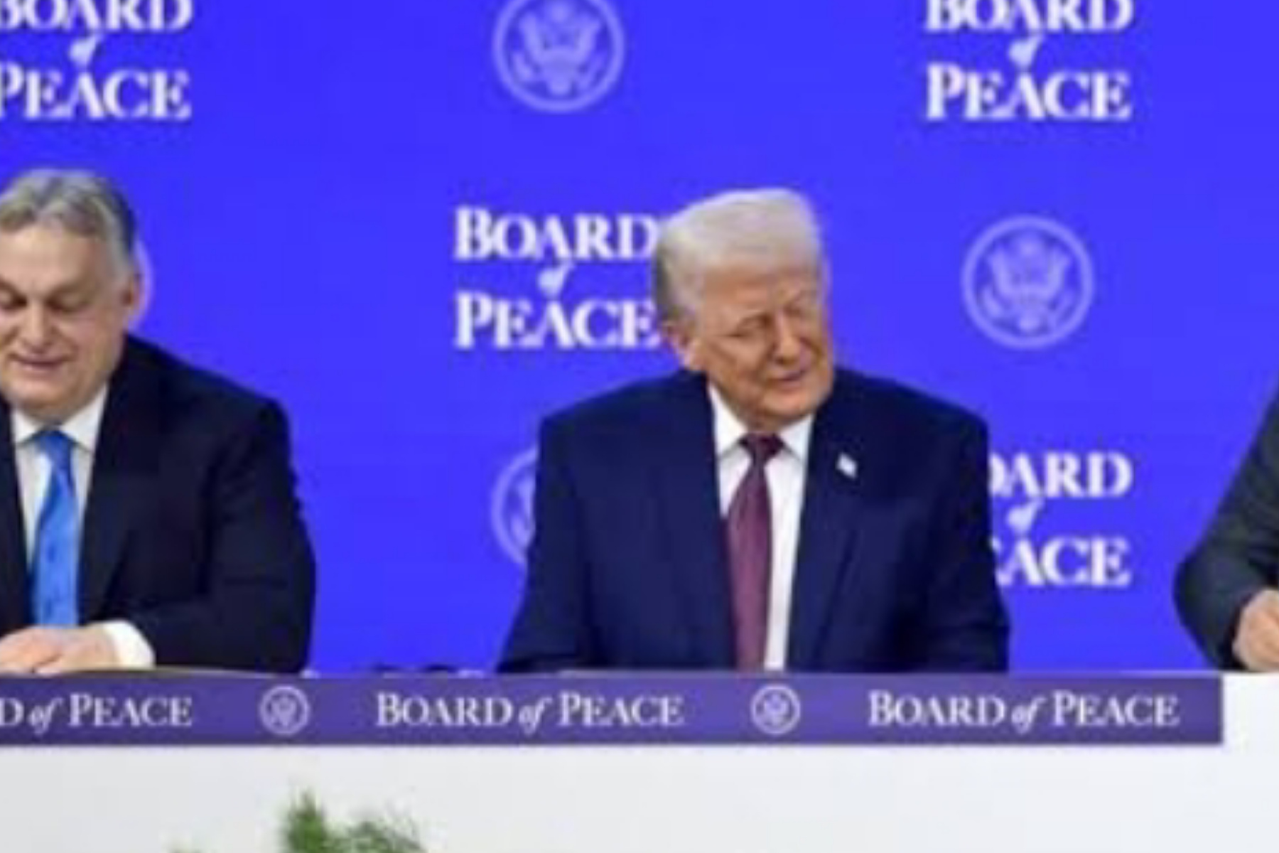 Board of Peace: Inisiatif Baru Donald Trump untuk Gaza
