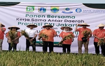 DKI–Cianjur Sepakat Jaga Ketahanan Pangan
