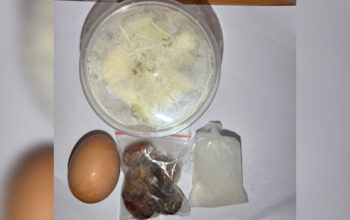 InShot 20260224 180211440