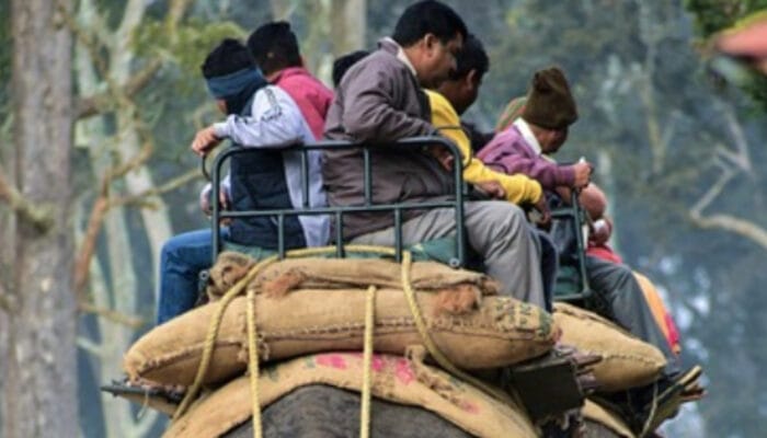 Indonesia Resmi Larang Wahana Tunggang Gajah