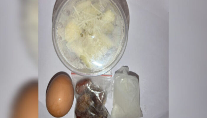 Komitmen Perbaikan Layanan: SPPG Perbawati Sukabumi Sampaikan Permohonan Maaf Terkait Menu MBG