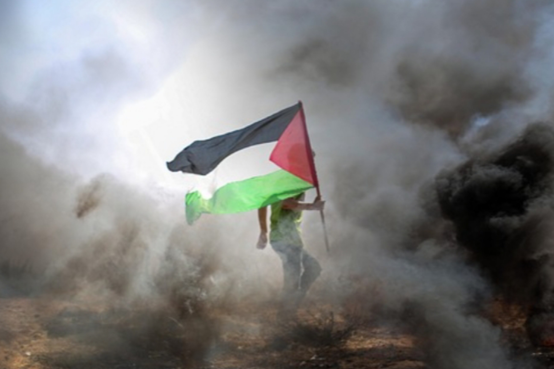 Krisis Kemanusiaan di Gaza: Hambatan Bantuan yang Tak Kunjung Usai