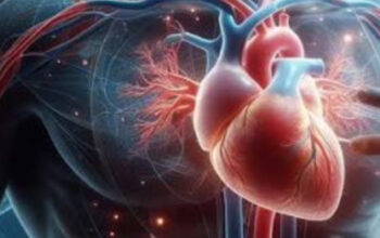 Mengenal Ictus Cordis: Jendela Pemeriksaan Jantung Anda