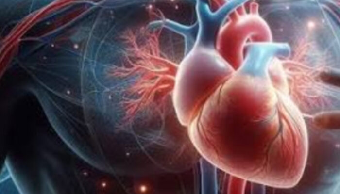 Mengenal Ictus Cordis: Jendela Pemeriksaan Jantung Anda