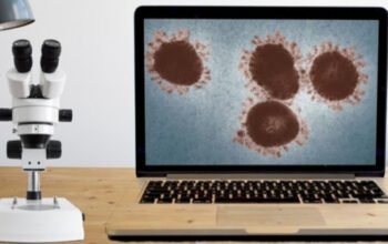 Mengenal Masa Inkubasi: Kunci Deteksi Penyakit