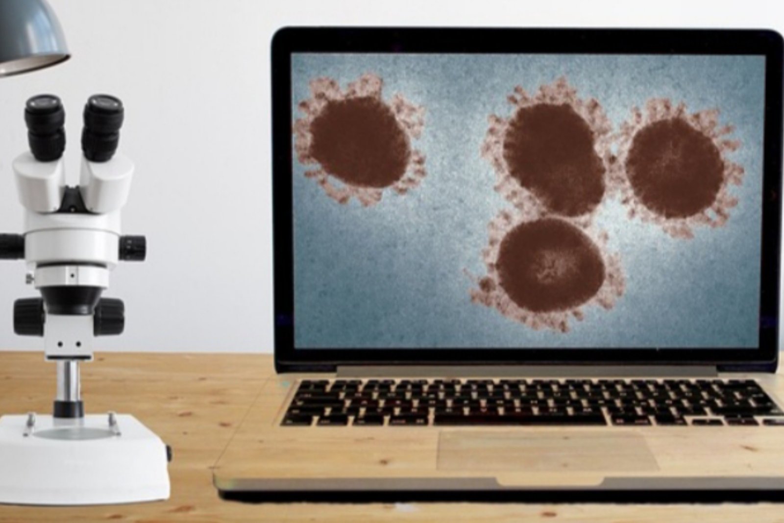 Mengenal Masa Inkubasi: Kunci Deteksi Penyakit