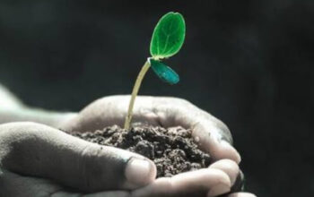 Menghadapi Lika-Liku Kehidupan dengan Bijak 9 Menghadapi Lika-Liku Kehidupan dengan Bijak