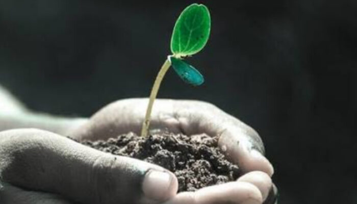 Menghadapi Lika-Liku Kehidupan dengan Bijak