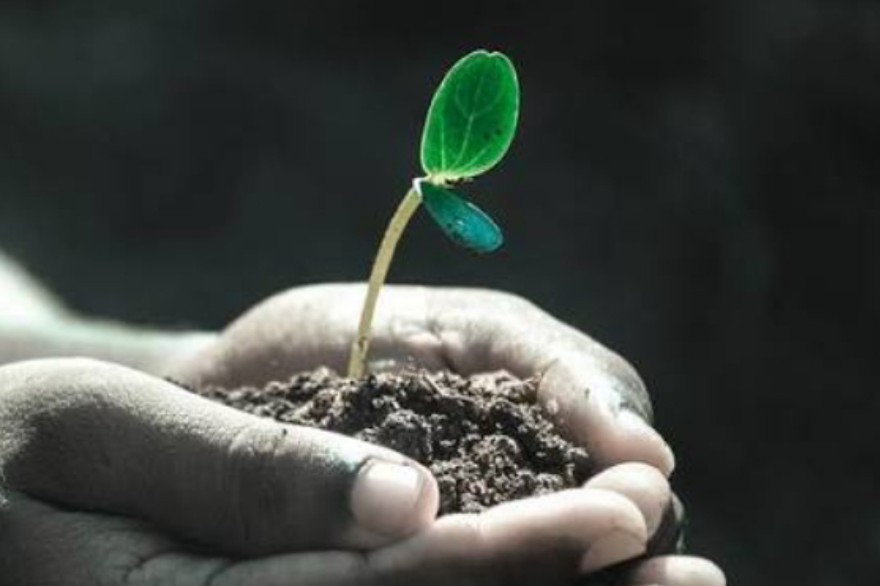 Menghadapi Lika-Liku Kehidupan dengan Bijak