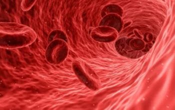 Menjaga Kadar Lemak Darah: Kunci Utama Jantung yang Sehat