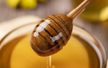 Minum Madu Saat Perut Kosong: Fakta Medis dan Manfaatnya