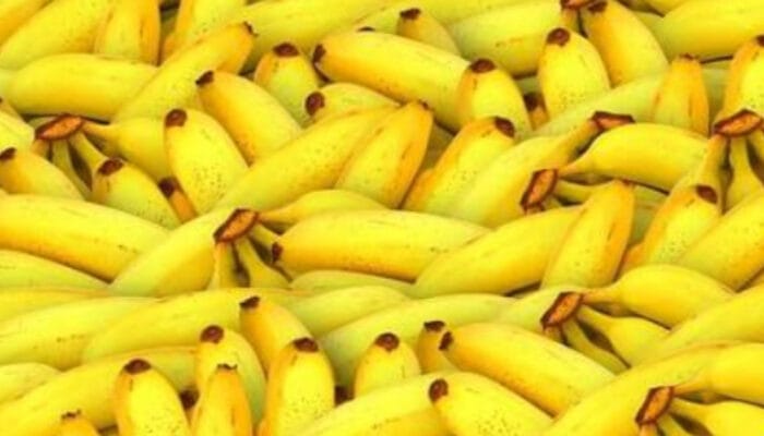 Rahasia Nutrisi Pisang: Buah Super untuk Energi Harian