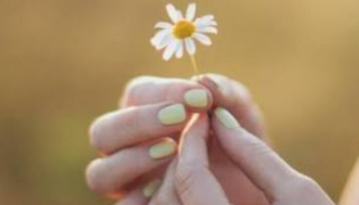 Seni Merangkul Realita: Belajar Menerima Pahit Manisnya Kehidupan