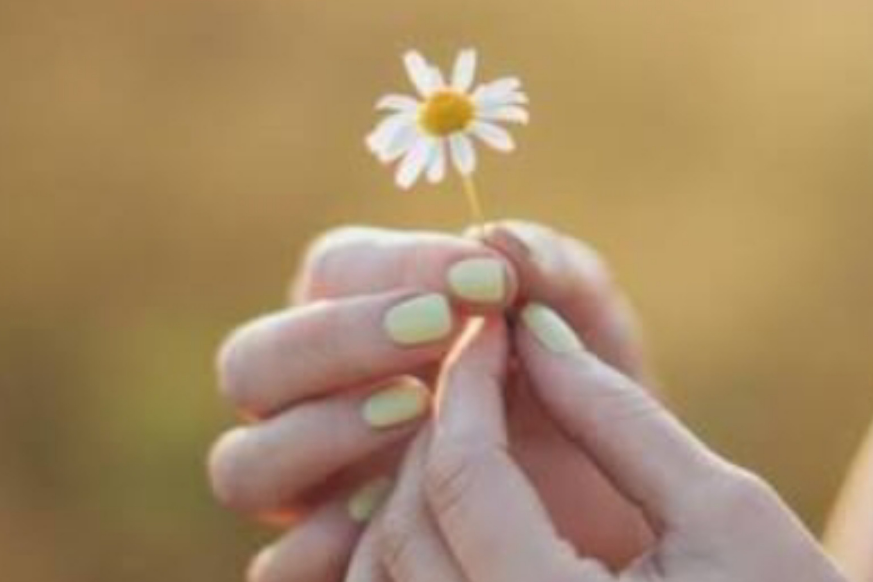 Seni Merangkul Realita: Belajar Menerima Pahit Manisnya Kehidupan