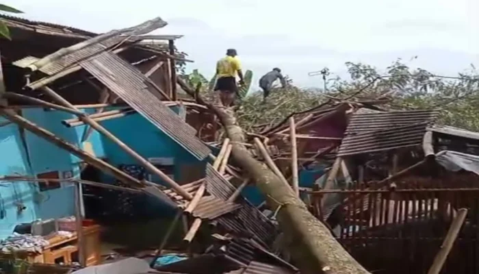 Tebang Pohon Berujung Petaka, 2 Rumah di Cianjur Tertimpa