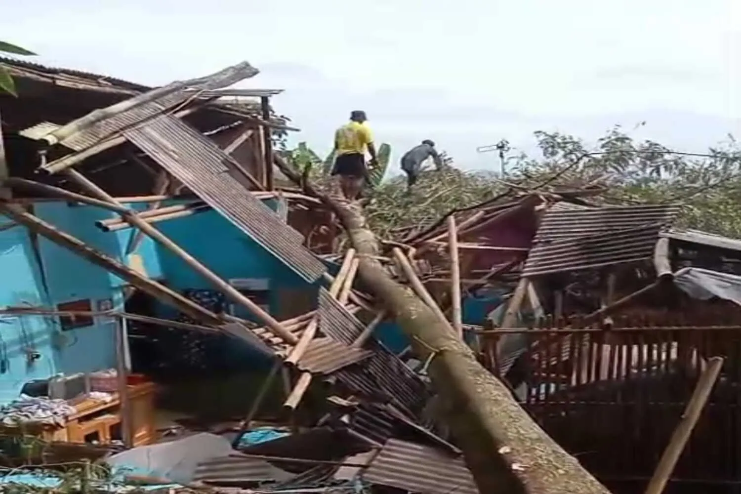 Tebang Pohon Berujung Petaka, 2 Rumah di Cianjur Tertimpa