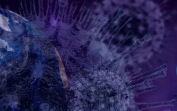 Waspada Virus Nipah: Ancaman Zoonosis yang Mematikan 9 Waspada Virus Nipah: Ancaman Zoonosis yang Mematikan