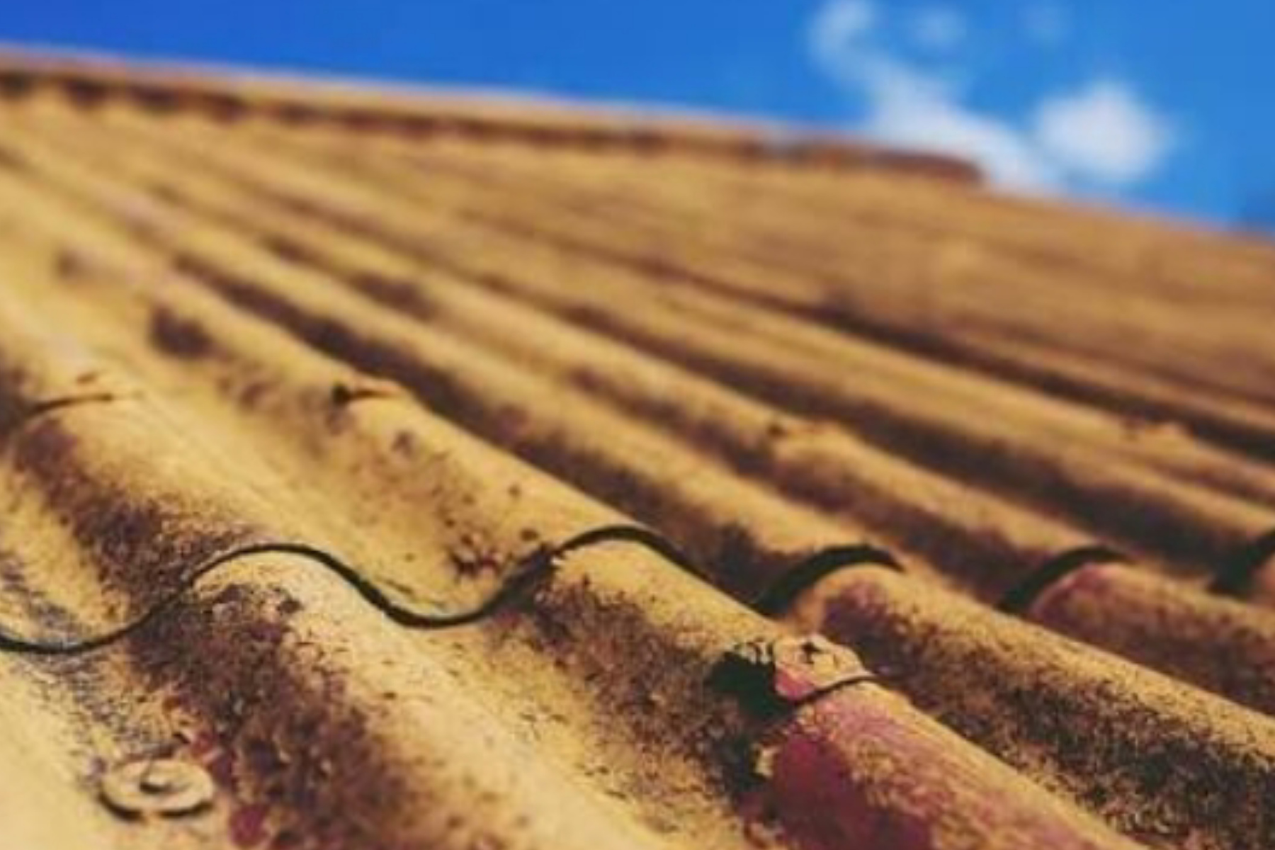 Bahaya Asbes bagi Pernapasan: Ancaman Tersembunyi di Atap Rumah