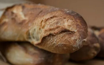 Bahaya Makan Roti Berjamur: Jangan Cukup Hanya Membuang Bagian Rusak