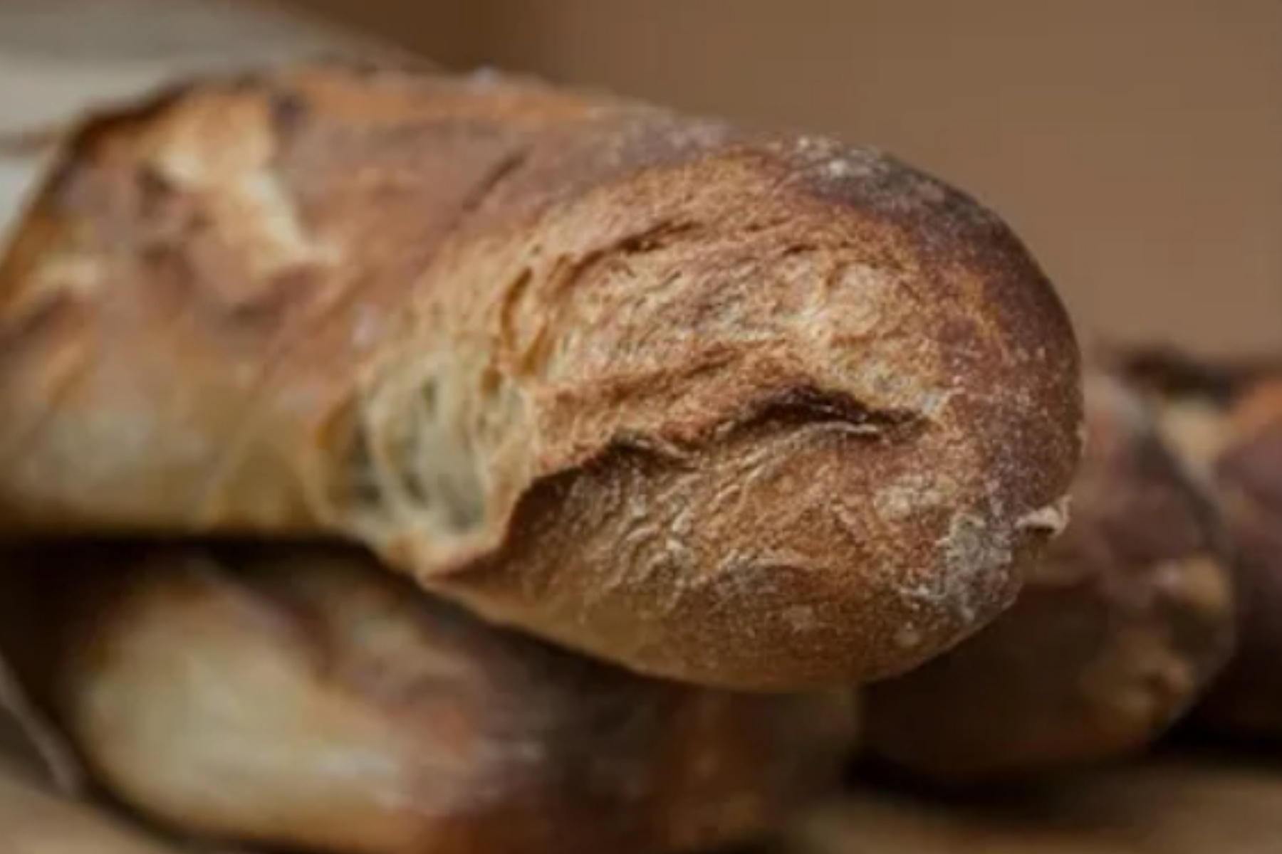 Bahaya Makan Roti Berjamur: Jangan Cukup Hanya Membuang Bagian Rusak