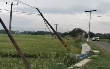 Bahaya Mengintai! Tiang Kabel Miring ke Sawah di Kertamukti Cianjur 3 Bahaya Mengintai! Tiang Kabel Miring ke Sawah di Kertamukti Cianjur