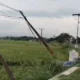 Bahaya Mengintai! Tiang Kabel Miring ke Sawah di Kertamukti Cianjur