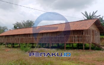 Buntut Pengambilalihan Proyek oleh Kades, Fisik Kandang Kambing Selawangi Tak Sesuai RAB