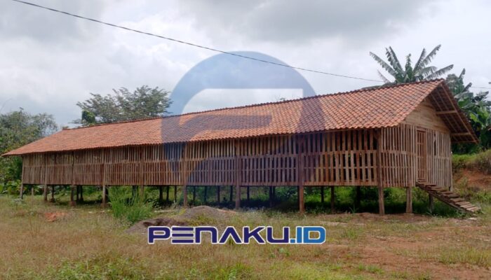 Buntut Pengambilalihan Proyek oleh Kades, Fisik Kandang Kambing Selawangi Tak Sesuai RAB